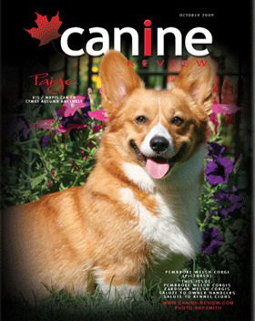 CANINE REVIEW COVER