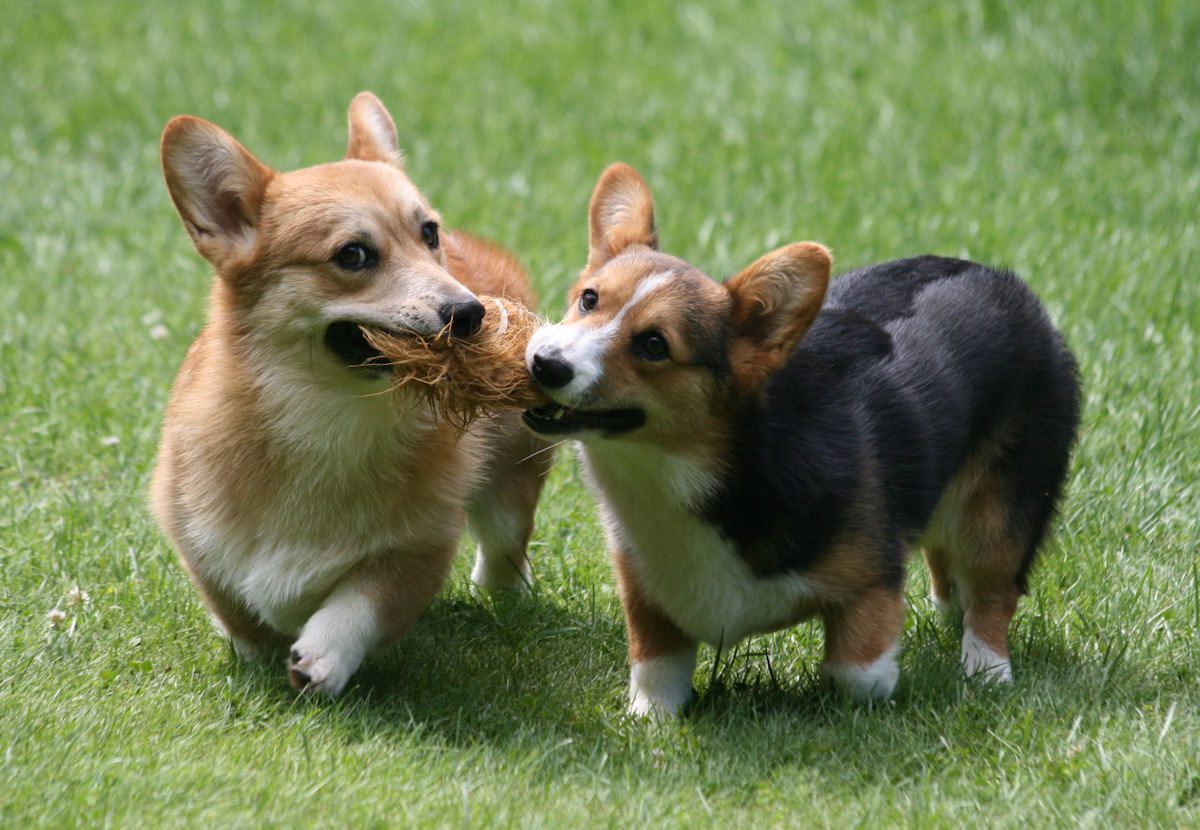 Quincy and Grace